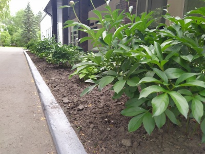 Дом Ученых - 13.jpg